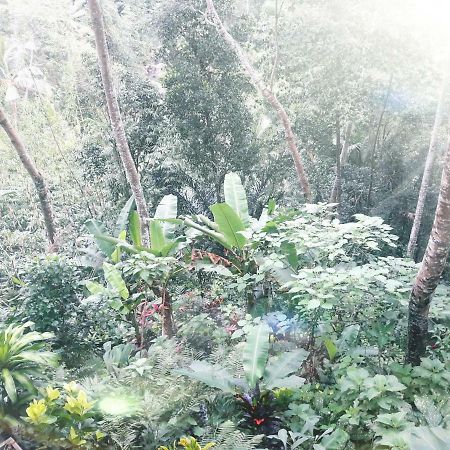 Ubud River Side House Hotel Ngoại thất bức ảnh